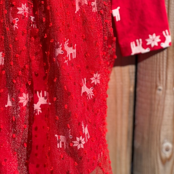 Hanna Andersson Reindeer Print Tulle Overlay Dress - Picture 4 of 9